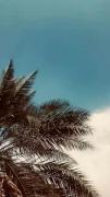 گرچه همه چی میگذرد (: .