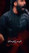 آن شیرسرخ عربستان❤️‍🔥🖤‍‍‍‍‍‍‍