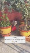 الهی بگردمت ❤️‍🩹😂😔‌‌‌‌‌‌‌‌‌‌..