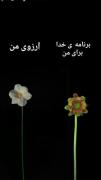 استوری جدید حامیم :) 