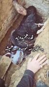 قدر همدیگه رو بدونید به اینجا برسه تمومه..