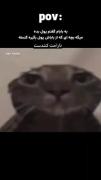 این مسخره بازیا به پدرم هم سرایت کرد