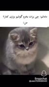 فقط پيشييي ميخوام همين…!:)😔🎀