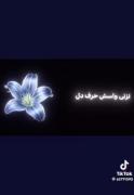 جوري كه عاشق اين آهنگم…..:)🛐✨