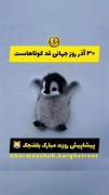 روزمون مبارک..................... 