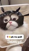 من دزدم🤫اومدم قلبتو بدزدم😈👻
