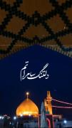 استوری شهادت امام هادی . . ‌. 