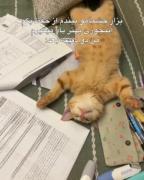 حققققققققققققققققققققققققققق😂