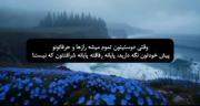 پایان رفاقته نه شرف...🤌🏻......