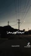 زندگیم شانس خودمه مگه دیکتست که غلط بگیره