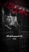 '' سلام حسین بی کسای عالم...''