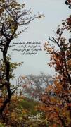 دنیا به اندازه کافی تاریک هست تاریکی جهان