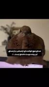 حق تا ابد فقط هم تو خونه مامان بزرگا هست .