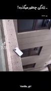 وای خدااااا زندگی چقدر خوب میگذرههههه
