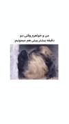 اونایی که خواهر و برادر دارن به شدت درک میکنن😅