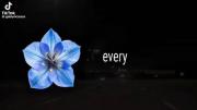 #_____𐙚______🌸_____𐙚______؛