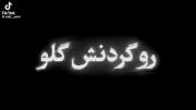 #رو گردنش گلو بند عکس رضا شاه: