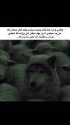 ولی نمیدونن که:+),,,,,..........