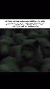 ...................)؟!۱۲۳۴۵۶۷۸۹
