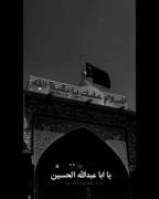 یا اباعبدالله دلتنگ خودت و حرمت هستیم مارو هم بطلب