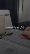 ...........................................