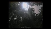 روی پاهای تو خوابم برده.. 🫠🌱....... 