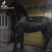  ‌‌‌‌‌‌‌‌‌‌‌. ‌‌‌‌‌‌‌. ‌. ‌ 