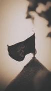 یا صاحب الزمان (عج)...........