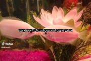 حآفظم؛.🙂👊🏽ㅤㅤㅤㅤㅤㅤㅤㅤㅤㅤㅤㅤㅤㅤ‌‌⁦⁦