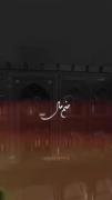 امیرالمؤمنین امام علی (علیه السلام) 