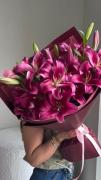 Flowers ‌‌‌‌‌‌‌‌‌‌‌‌‌‌‌‌
