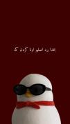 واقعا برایع این زندگی؟؟😂😂😂😂😂