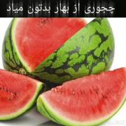 میوه بهاری فصل بهار کلا مرسی بابت ساخت این فصل خدا🎀