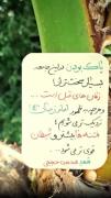 صبح را فلسفه ای نیست بجز دیدار دوست 