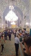 « همه هستی ام ، امام رضا سلام ..... »