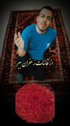 گل ها جواب زمین اند به سلام آفتاب ☀️