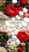من تو را ناب ترین عشق جهان می دانم 