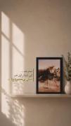 این شما و این دنیای بی حسین...