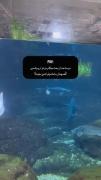 حق به توان پنجج😂 خیلی حقه😂😂🤣