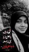 شهادت را به اهل درد میدهند نه به اهل خیال:)