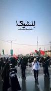 یا امام حسین میان این همه نوکر منو هم بطلب😭