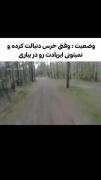 مهناز چه قَشَنگِه چَشمات شله شله شله😂