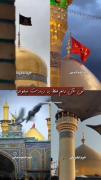 الان دلم چی میخواد؟ دلمـ : ...