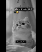جمله هایی که باید با طلا نوشت...