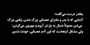 دنبال به پارتنر آروم و مهربون میگردن؛