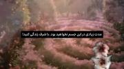 با شرف زندگی کنید!!!!!!!!!!!!!