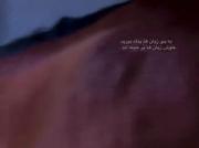 به بی‌زبان‌ها پناه ببرید........