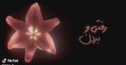 عاشق این فیلمم اسمش سلطان قلب هاس:)