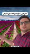 من که مال معلممو پیدا کردم شما هم برید پیدا کنید