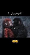 ______________________________..؟
